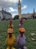 /home//u458753944/public_html/sourcegallery//other/uk 2023/london/IMG_20230918_165041179_HDR.jpg